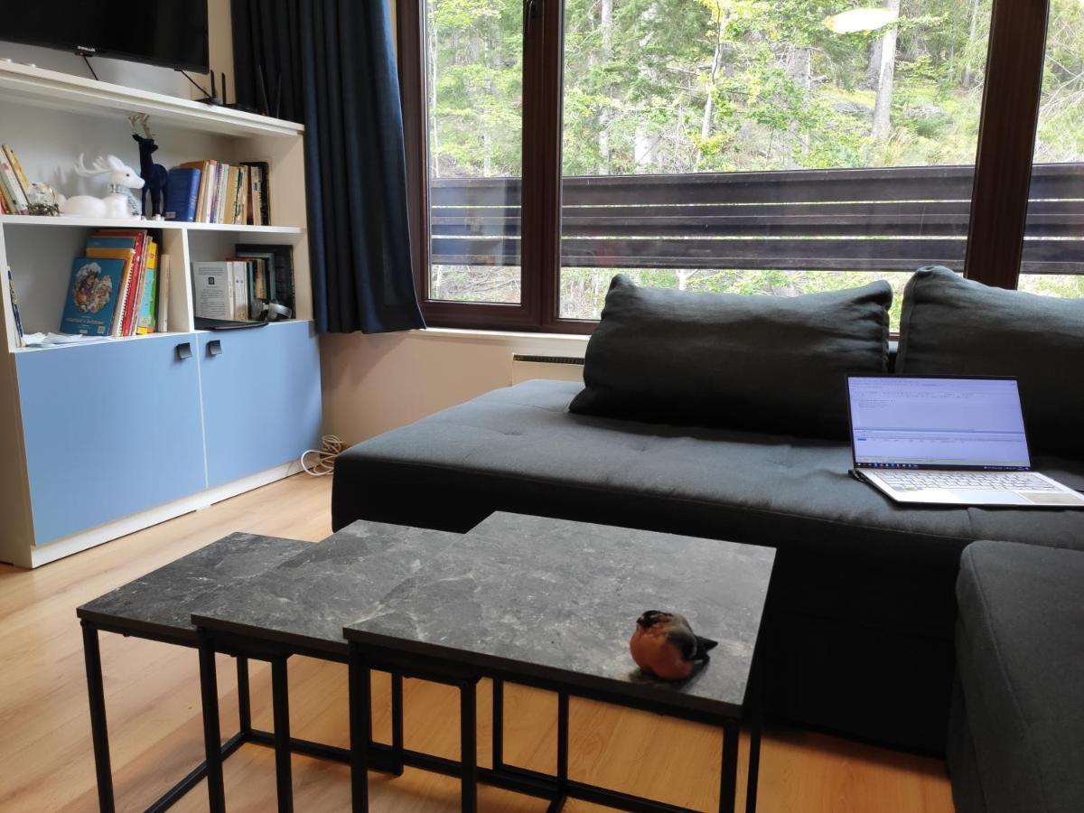 Forest Dream Apartment - Elit Pamporovo Extérieur photo
