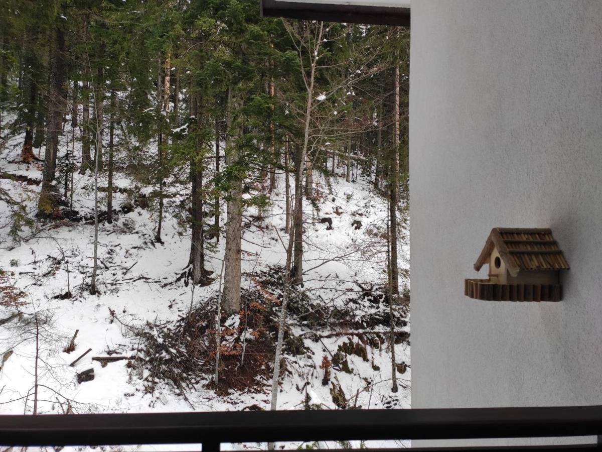 Forest Dream Apartment - Elit Pamporovo Extérieur photo